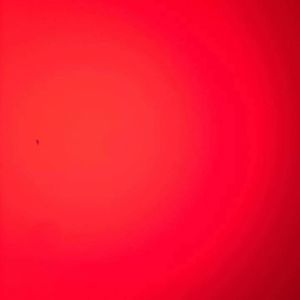 Meet your Posher, Samia